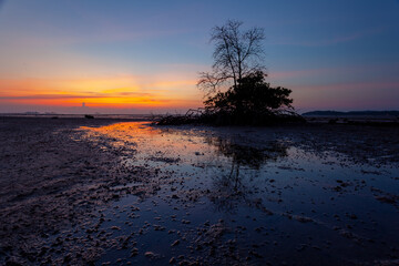 Mangrove forest silhouette with the sunset sky in Koh Phanagn, Surat Thani, Thailand.selective focus