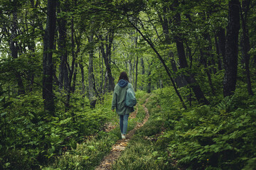 back view of a girl walking along a path through a gloomy mystical foggy forest. Walking and outdoor concept.