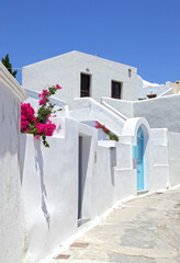 Pink bougainvillea flowers over a white wall in Santorini, Greece.