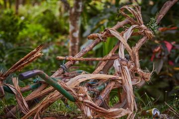 Wheelbarrow in Mayotte.