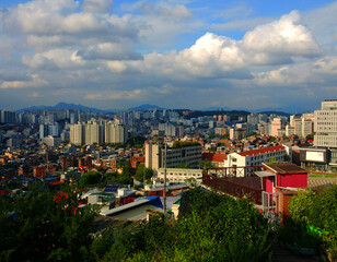 낙산 공원 위에서 풍경을 보다.