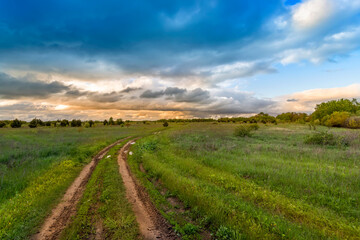 Road in the field among green grass and beautiful sky in the evening.