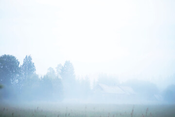 Fototapeta na wymiar Fog in the field. Evening nature summer with white fog.