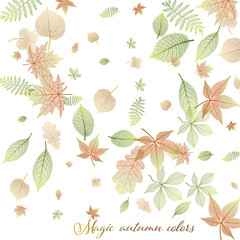 Beautiful background with autumn leaves . Vector illustration. EPS 10