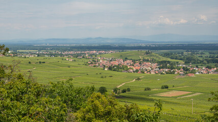 Obraz premium rural landscape with field and blue sky