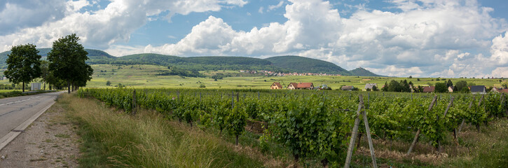 Fototapeta na wymiar Summer rural panoramic landscape in France