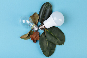 Concept Eco energy-saving fluorescent lamp advantages over an incandescent lamp. Two lamps lying...