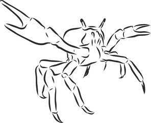 Sea blue striped illustration with crab, crab, vector sketch illustration