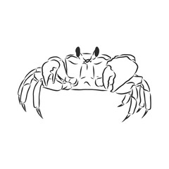 Sea blue striped illustration with crab, crab, vector sketch illustration