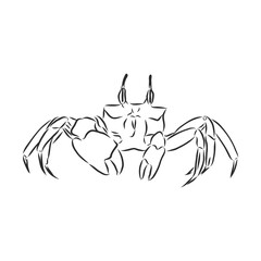 Sea blue striped illustration with crab, crab, vector sketch illustration