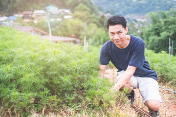 Fototapeta premium Portrait of Young asian man working in garden
