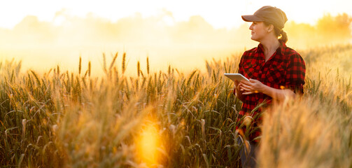A woman farmer examines the field of cereals and sends data to the cloud from the tablet. Smart...