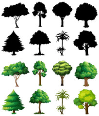 Set of plant and tree with its silhouette