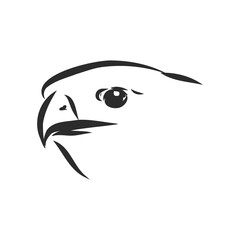 Black and white illustration. Sketch of bird for tattoo art. Detailed hand drawn eagle for tattoo on back. Falcon bird, vector sketch