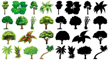 Set of plant and tree with its silhouette