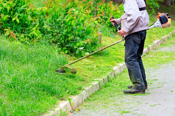 The worker cuts the high grass with an industrial petrol grass trimmer.