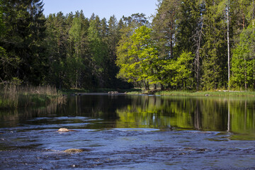 Swedish river and natural salmon area in spring. Farnebofjarden national park in north of Sweden.