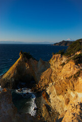 遠く富士を仰ぎ見る