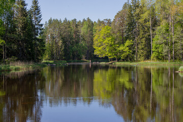 Fototapeta na wymiar Swedish river and natural salmon area in spring. Farnebofjarden national park in north of Sweden.