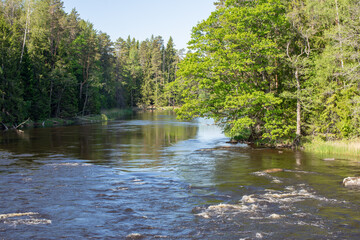 Swedish river and natural salmon area in spring. Farnebofjarden national park in north of Sweden.