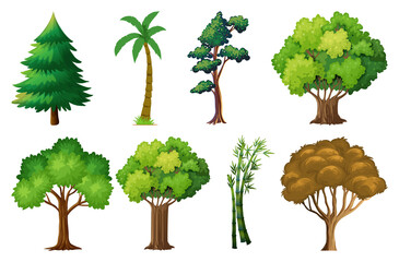 Set of variety plants and trees