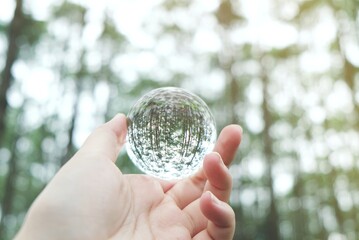 Save world. Earth day. Energy saving concept. Crystal glass ball in Nature Pine Park
