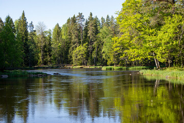 Swedish river and natural salmon area in spring. Farnebofjarden national park in north of Sweden.