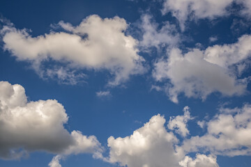 Fototapeta na wymiar Blue sky background with big tiny stratus cirrus striped cloud