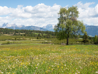 alpe di villandro in alto adige, italy, trekking in mountain