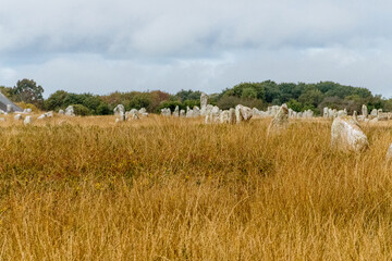 Alignments of Carnac, Menhir de Carnac in the Brittany region. France