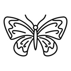 Decoration butterfly icon. Outline decoration butterfly vector icon for web design isolated on white background