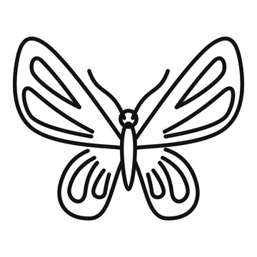 Elegant butterfly icon. Outline elegant butterfly vector icon for web design isolated on white background