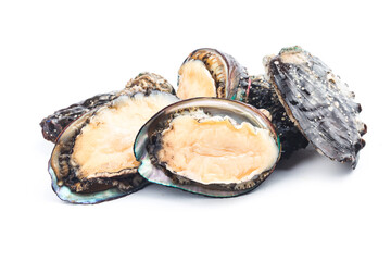 Raw abalones on the white background