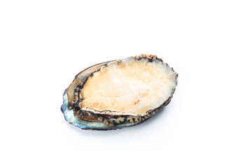 Raw abalones on the white background