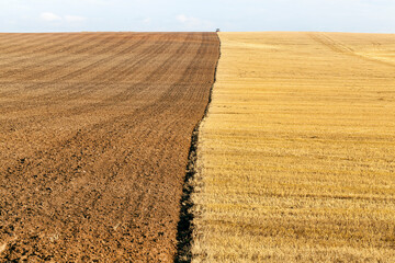 a half plowed agricultural field