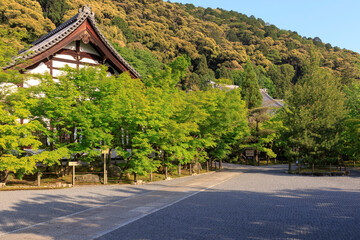 新緑の京都