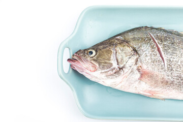 A piece of fresh osmanthus fish on a plate
