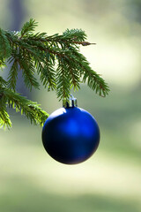 Christmas onament in a spruce tree outside on sunny day