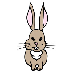 Hand drawn colorful hare. Cartoon color hare outline doodle style. Vector illustration isolated on white background. Decoration for greeting cards, posters, flyers, prints for clothes.