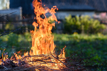 Burning dry brushwood in the fire