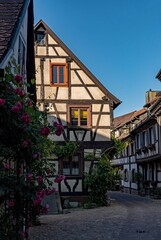 Altstadt von Gengenbach im Schwarzwald in Baden-Württemberg, Deutschland 