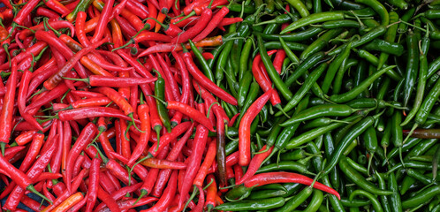 Red and green chili peppers