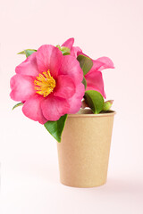 Coffee cup with a flower as a concept of natural source disposable utensils.