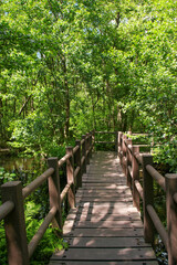 A hiking trail in nature reserve "Briesetal" in federal state Brandenburg - Germany