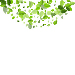 Grassy Leaves Flying Vector Design. Fly Foliage 