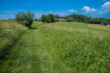 Obraz premium Spazierweg im Sommersonnenschein