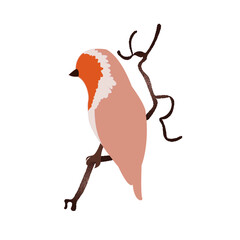 vector illustration of a bird