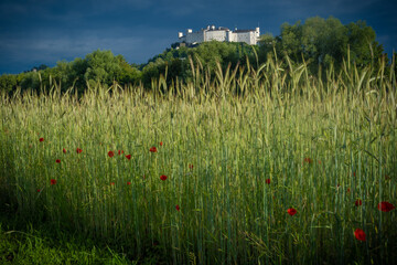 Festung mit Korn- und Mohnfeld