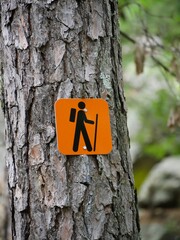 Fototapeta premium bright orange hiking trail sign nailed to a tree trunk in the forest