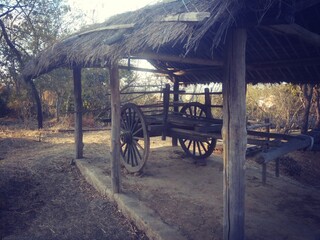 A bullock cart carrier, parked under the shed made of dried grass.